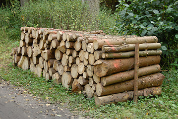 Image showing pile of Wood