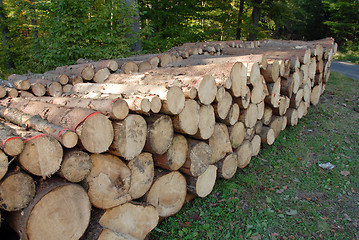 Image showing Wood piles