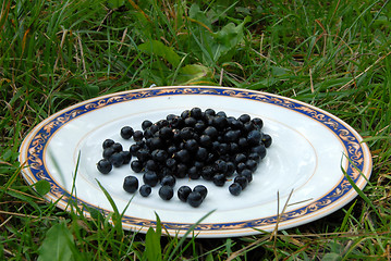 Image showing berry on the plate