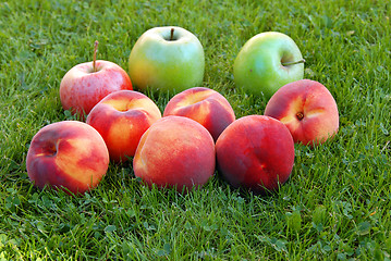Image showing Peaches and apples