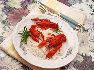 Image showing Crayfish meal