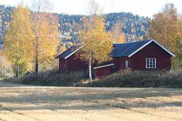 Image showing Autumn 