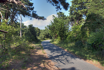 Image showing Nantucket, MA, August 2008