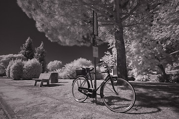 Image showing Tuscan Garden, Italy