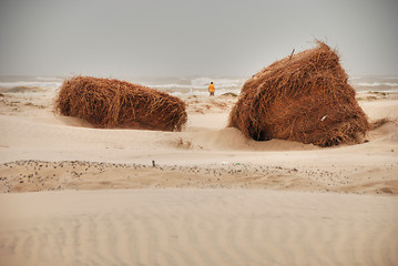 Image showing Southa Padre Island Beach, Texas