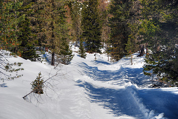 Image showing Alps Winter, Dolomites, Italy, 2007