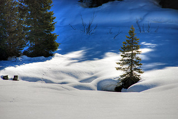 Image showing Alps Winter, Dolomites, Italy, 2007