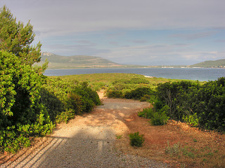 Image showing Sardinia Coast in summer, Italy