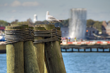 Image showing New York City, U.S.A., 2007