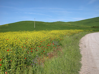 Image showing Tuscan Countryside, Italy