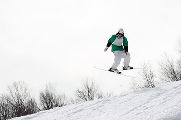 Image showing Freestyle Skier