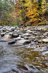 Image showing Autumn River Foliage