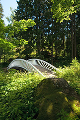 Image showing Bridge over hidden water