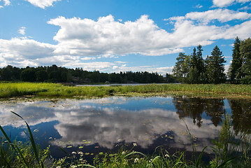 Image showing Catched clouds