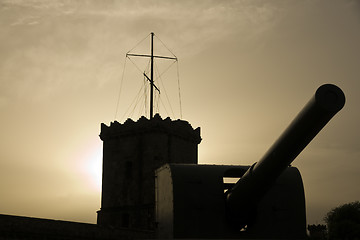 Image showing Cannon on the castle