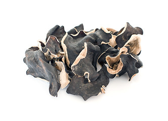 Image showing Muer (Cloud ear fungus)