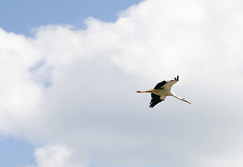 Image showing Lone stork flying across the sky