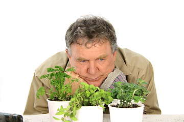 Image showing Wondering Nurseryman