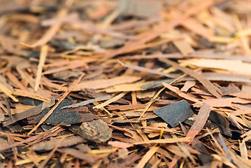 Image showing Lapacho herbal tea