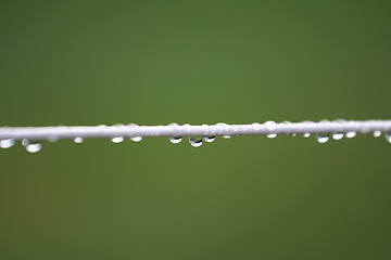 Image showing Washing Line