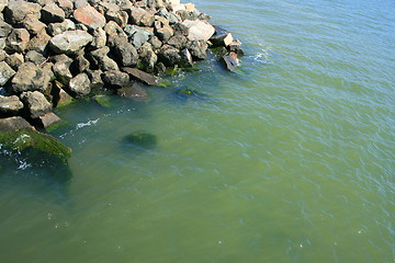 Image showing Rocky Shore