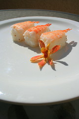 Image showing Shrimp Sushi