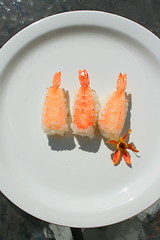 Image showing Shrimp Sushi