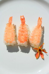 Image showing Shrimp Sushi