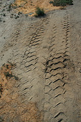Image showing Tire Tracks