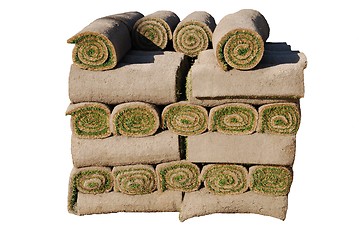 Image showing Rolls of sod isolated on white background