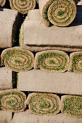 Image showing Rolls of sod (background)