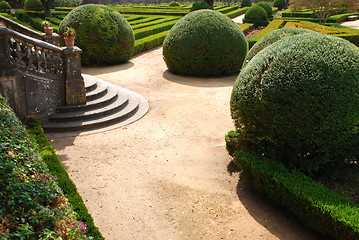 Image showing Beautiful ornamental garden with green bushes