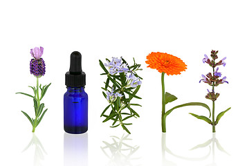 Image showing Aromatherapy Herbs and Flowers