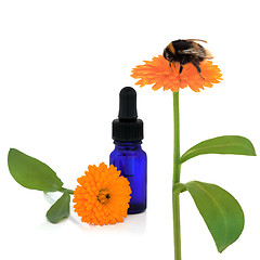 Image showing Calendula Aromatherapy