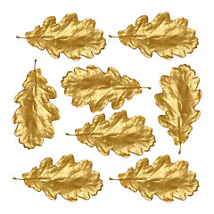 Image showing Golden Oak Leaf Beauty