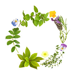 Image showing Herb Leaf and Floral Garland