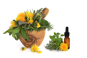 Image showing Herb and Wild Flower Therapy