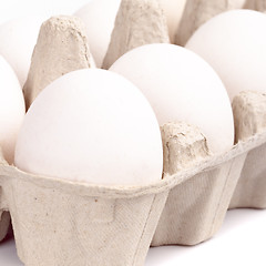 Image showing white eggs