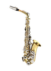 Image showing Tenor Sax