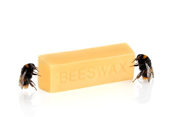 Image showing  Bumblebees and Beeswax