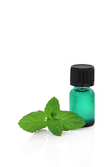 Image showing Peppermint Herb Essence