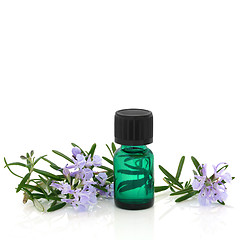 Image showing  Rosemary Herb Flowers and Essence