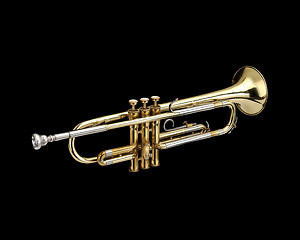 Image showing Trumpet