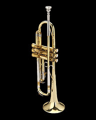 Image showing Trumpet