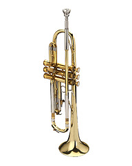 Image showing Trumpet