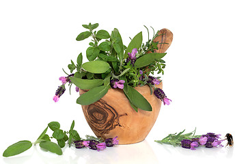 Image showing Lavender Herb Flowers