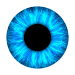 Image showing blue iris