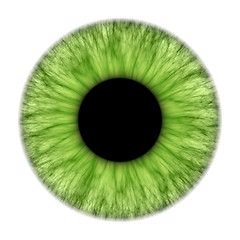 Image showing green iris