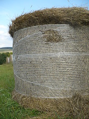 Image showing bales of straw