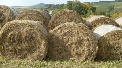 Image showing bales of straw